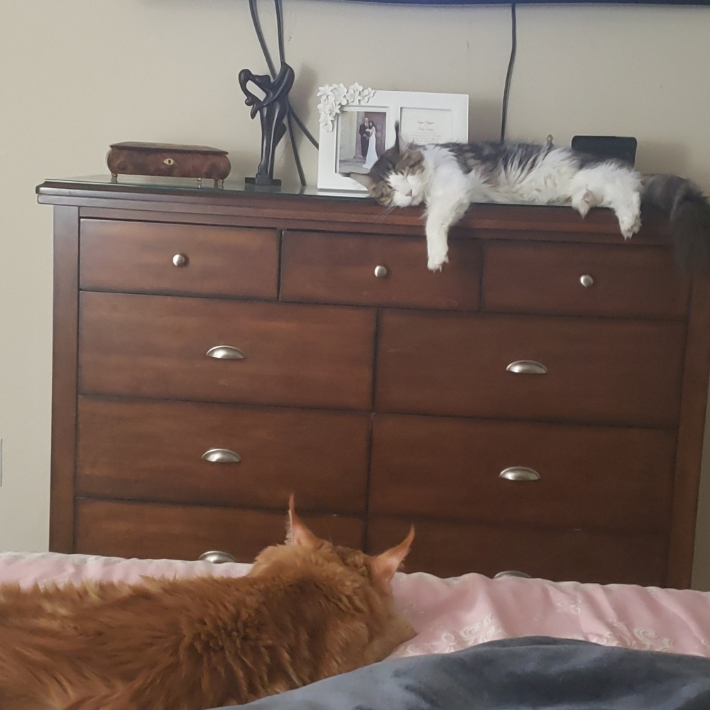 Love ❤️ Notes - Picture 13 of 16